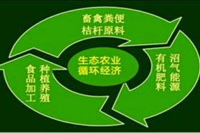 成都绿康有机肥 – 可行性研究报告