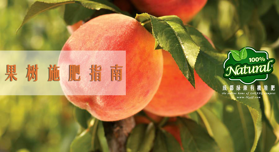 果树科学施肥指南