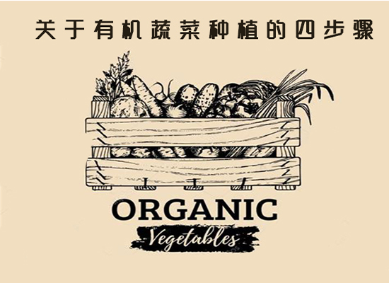 什么是有机蔬菜种植，关于有机蔬菜种植的四步骤