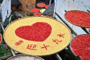迎十九大 – 成都市绿康有机肥迈向新台阶