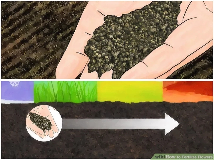 成都绿康花木有机肥_怎么用有机肥种花_营养土有机肥