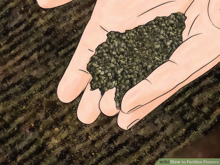 成都绿康花木有机肥_怎么用有机肥种花
