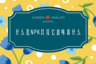 探索植物的基本施肥以及如何为您的花园选择合适的肥料