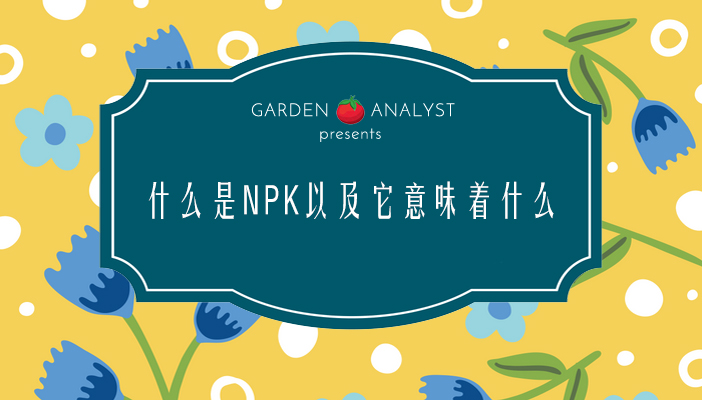 什么是NPK以及它意味着什么？