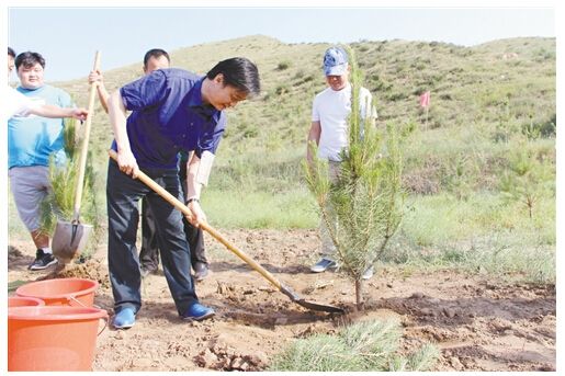 绿康有机肥每周一堂课：种植树木也要选对时间！