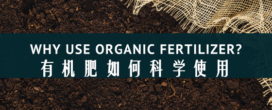 成都绿康有机肥有限公司_有机肥如何科学使用