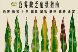 植物元素缺乏叶面症状