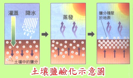 成都市绿康有机肥企业_土壤盐害示意图