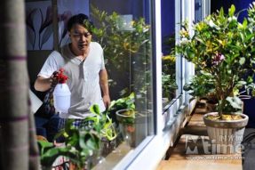 如何选择不同的肥料类型？