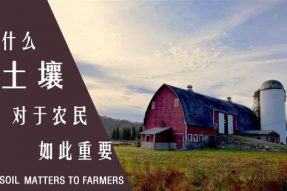 为什么土壤对农民如此重要？