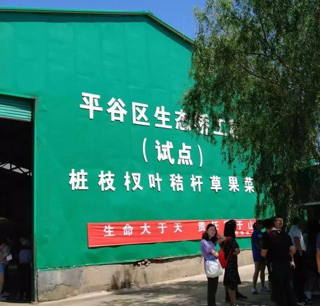 “生态桥”治理工程