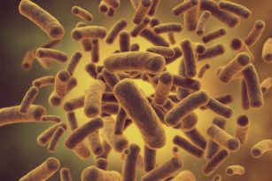 堆肥生物学原理：微生物种类