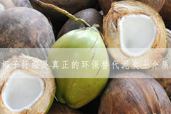 椰壳纤维_椰子纤维_泥炭土_草炭土_椰壳纤维价格_泥炭土价格