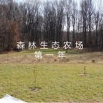森林生态农场第一年