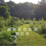 森林生态农场第五年
