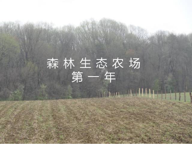 森林生态农场第一年