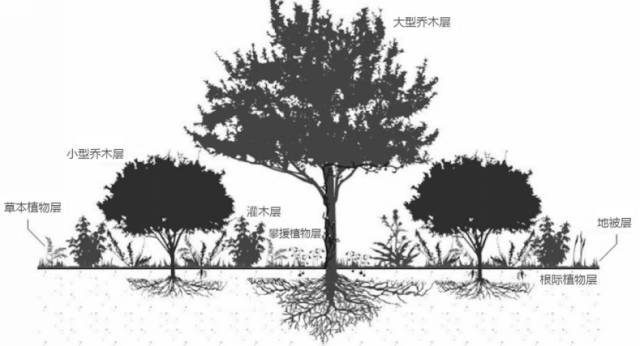 未来生态农场_模仿森林生态