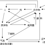 生态农业是新型现代化农业