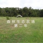 森林生态农场第二年