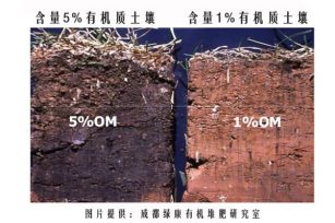 人类健康源于土壤，土壤的健康源于有机质