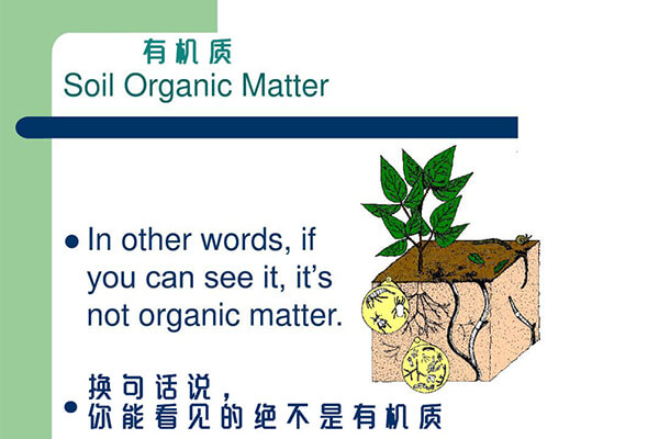 土壤有机质_土壤健康