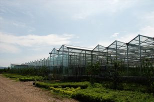 生态农业是新型现代化农业，具有较高的生态效益、经济效益与社会效益