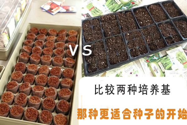 培养基质_播种基质_育苗基质_基质土壤