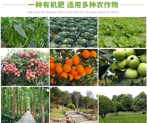 成都有机肥_有机肥料_成都生物有机肥_成都蔬菜有机肥_成都蔬菜专用有机肥_哪有蔬菜有机肥_蔬菜有机肥厂家_成都蔬菜有机肥批发_成都有机蔬菜专用肥料_成都蔬菜有机肥料批发_成都蔬菜专用有机肥_成都蔬菜专用有机肥公司