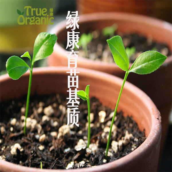 成都育苗基质_成都栽培基质_成都烟叶育苗基质_成都营养基质育苗_成都基质育苗_成都蔬菜基质育苗_成都育苗基质批发_基质肥料_基质育苗厂家