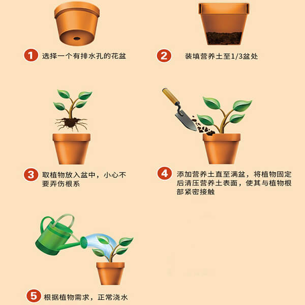 成都营养土_成都营养土批发_成都营养土价格_营养土怎么用_成都营养土配制_兰草营养土