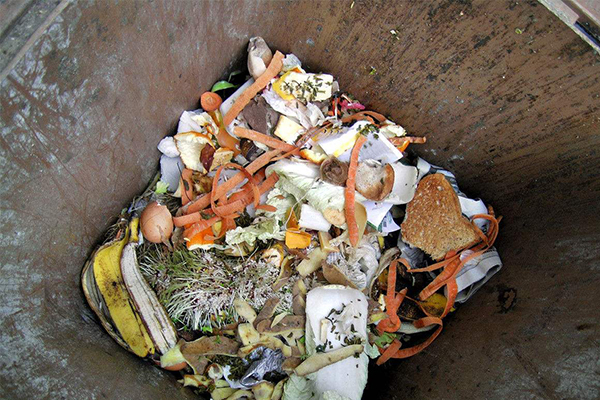 用家庭厨余垃圾制作有机堆肥实用指南