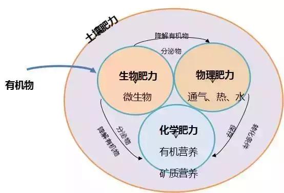 有机肥的好处这几点可能被忽视了