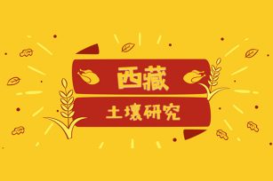 西藏地区土壤：微量元素（第五章）