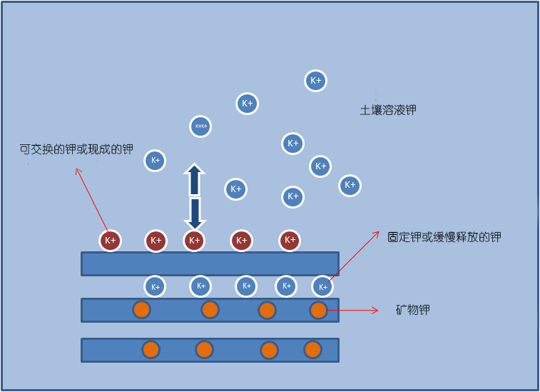 土壤溶液中的钾