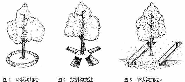 苹果树施用有机肥技术方法详解_沟施,穴施,条施