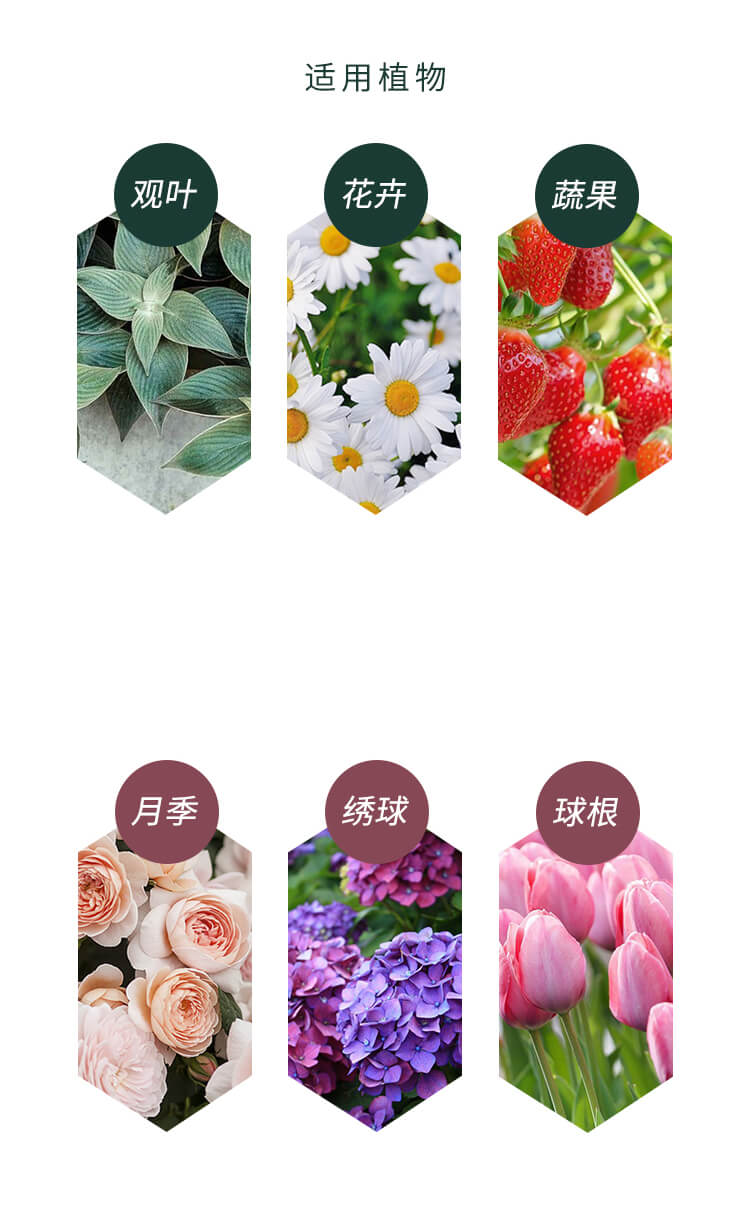 营养土批发_园艺栽培基质_园艺土壤_营养土价格