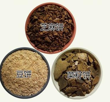 有机肥_饼肥