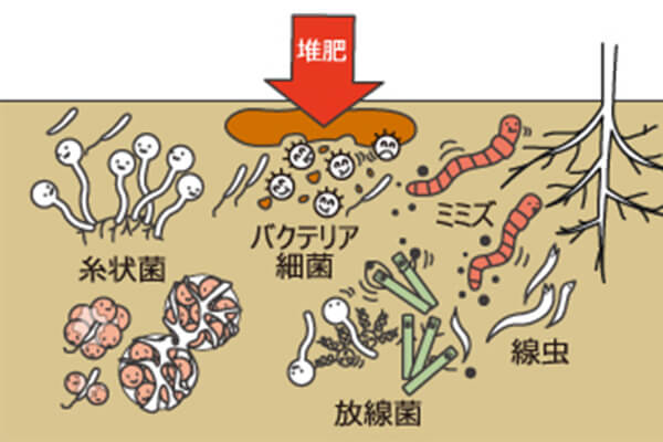 微生物菌肥_生物菌剂_微生物肥料