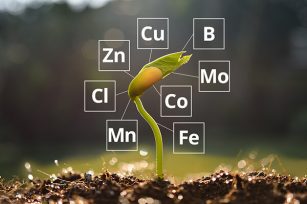 有机肥的广泛应用：从绿色农业到生态环境的全面提升