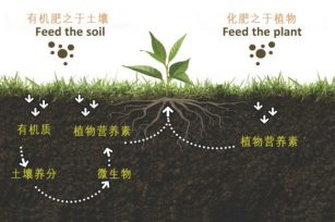 什么是有机肥？有机肥到底是什么呢？
